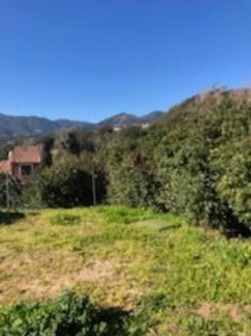 Villa En Corse Du Sud Entre Mer Et Montagne Peri Ngoại thất bức ảnh